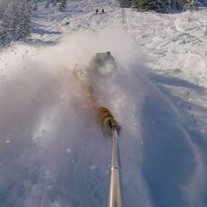 Meet your Posher, Nathan